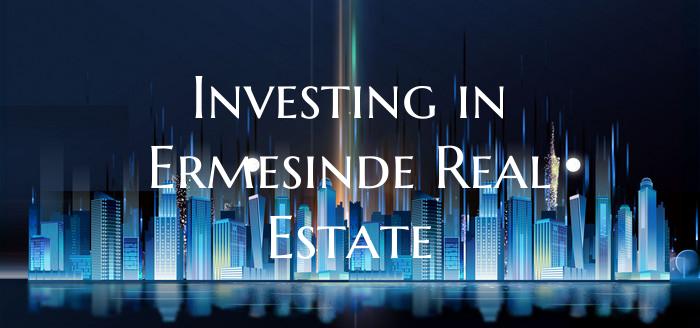 Investing in Ermesinde Real Estate