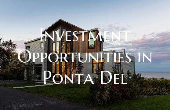Investment Opportunities in Ponta Del